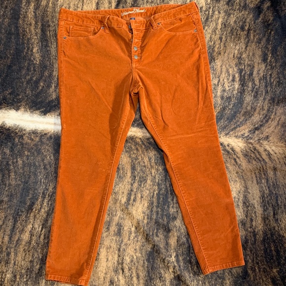 Universal Thread Denim - Universal Thread Size 18/34R mid rise skinny burnt orange button fly jeans